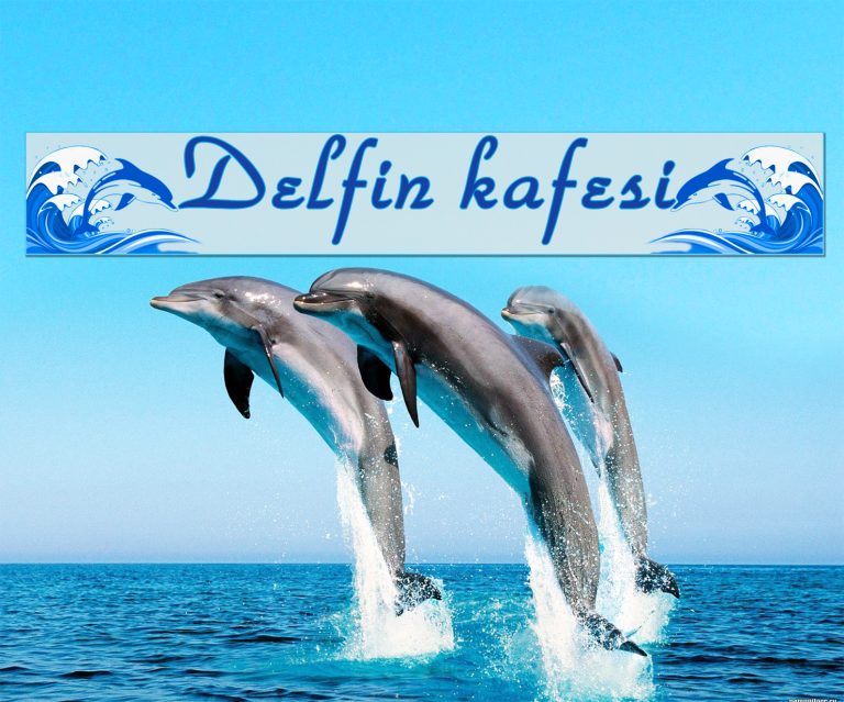 Delfin Delfin